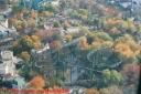 799865_4A.JPG: SFGAm - Whizzer - View From Sky Trek Tower